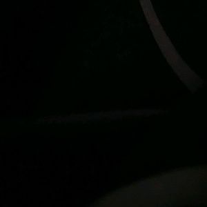 Meet your Posher, Frankie